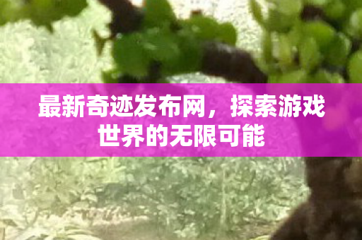 最新奇迹发布网,探索游戏世界的无限可能 最新奇迹发布网,探索游戏世界的无限可能