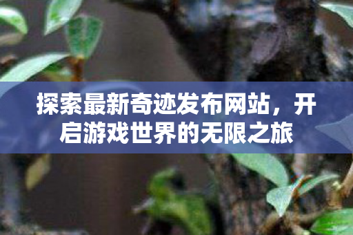 探索最新奇迹发布网站,开启游戏世界的无限之旅 探索最新奇迹发布网站,开启游戏世界的无限之旅
