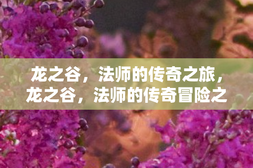法师的传奇冒险之旅图片