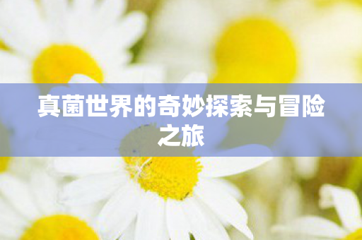 真菌世界的奇妙探索与冒险之旅