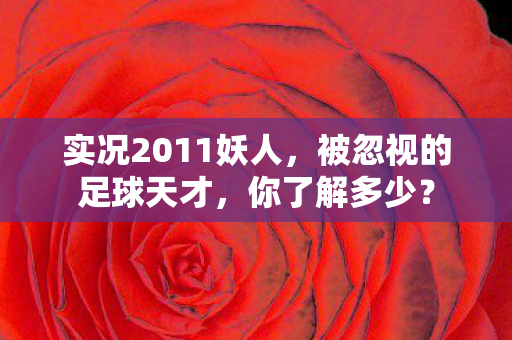 实况2011妖人,被忽视的足球天才,你了解多少? 实况2011妖人,被忽视的足球天才,你了解多少?