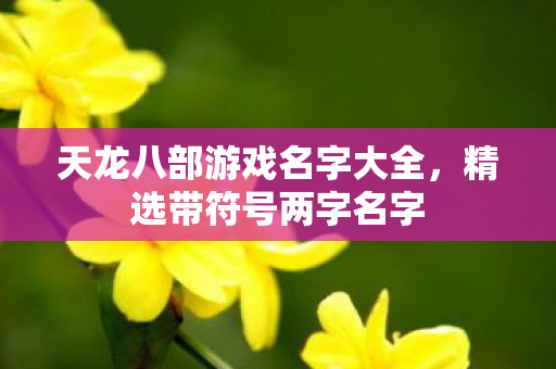 天龙八部游戏名字大全,精选带符号两字名字 天龙八部游戏名字大全,精选带符号两字名字