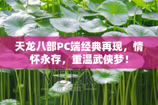 天龙八部PC端经典再现,情怀永存,重温武侠梦! 天龙八部PC端经典再现,情怀永存,重温武侠梦!