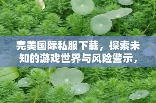 探索未知的游戏世界与风险警示图片