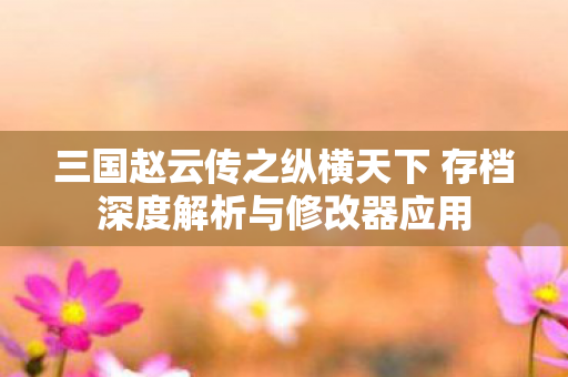 三国赵云传之纵横天下 存档深度解析与修改器应用图片