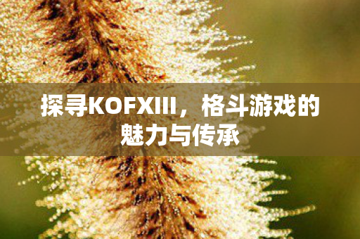 探寻KOFXIII,格斗游戏的魅力与传承 探寻KOFXIII,格斗游戏的魅力与传承