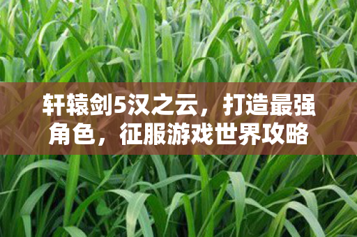 轩辕剑5汉之云,打造最强角色,征服游戏世界攻略 轩辕剑5汉之云,打造最强角色,征服游戏世界攻略