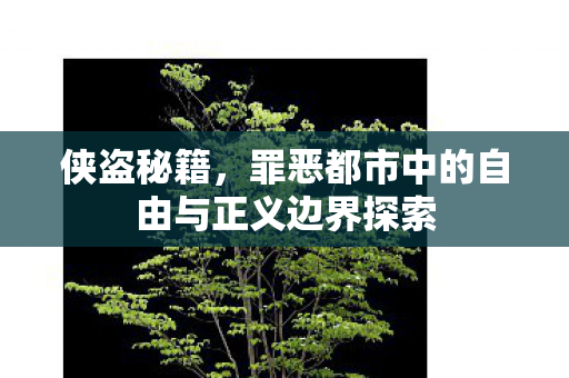 侠盗秘籍,罪恶都市中的自由与正义边界探索 侠盗秘籍,罪恶都市中的自由与正义边界探索