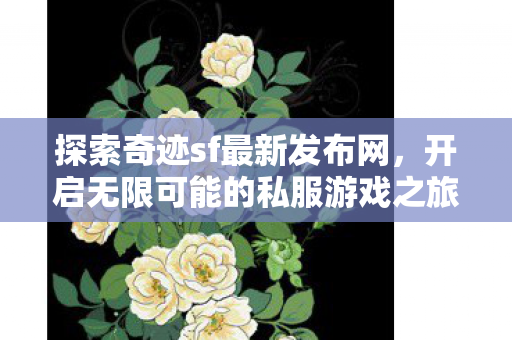探索奇迹sf最新发布网,开启无限可能的私服游戏之旅 探索奇迹sf最新发布网,开启无限可能的私服游戏之旅