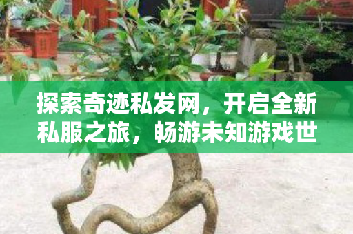 探索奇迹私发网,开启全新私服之旅,畅游未知游戏世界 探索奇迹私发网,开启全新私服之旅,畅游未知游戏世界