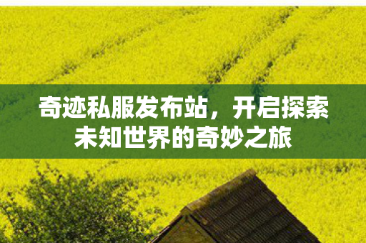 奇迹私服发布站,开启探索未知世界的奇妙之旅 奇迹私服发布站,开启探索未知世界的奇妙之旅