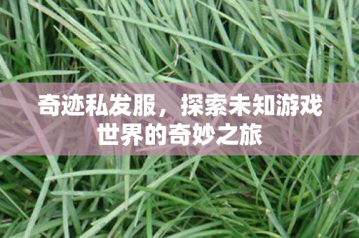 探索未知游戏世界的奇妙之旅图片
