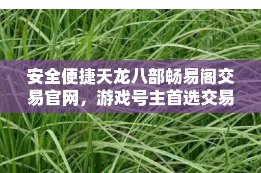 安全便捷天龙八部畅易阁交易官网,游戏号主首选交易平台 安全便捷天龙八部畅易阁交易官网,游戏号主首选交易平台
