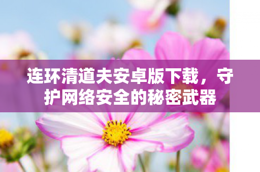 连环清道夫安卓版下载,守护网络安全的秘密武器 连环清道夫安卓版下载,守护网络安全的秘密武器
