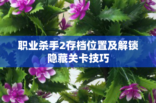 职业杀手2存档位置及解锁隐藏关卡技巧 职业杀手2存档位置及解锁隐藏关卡技巧