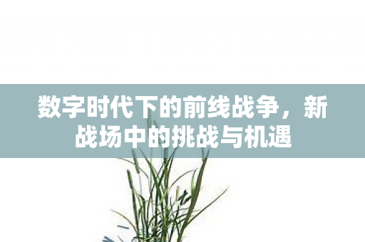 数字时代下的前线战争图片