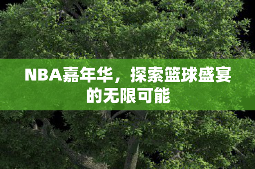 NBA嘉年华,探索篮球盛宴的无限可能 NBA嘉年华,探索篮球盛宴的无限可能