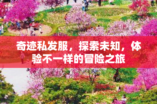 奇迹私发服,探索未知,体验不一样的冒险之旅 奇迹私发服,探索未知,体验不一样的冒险之旅