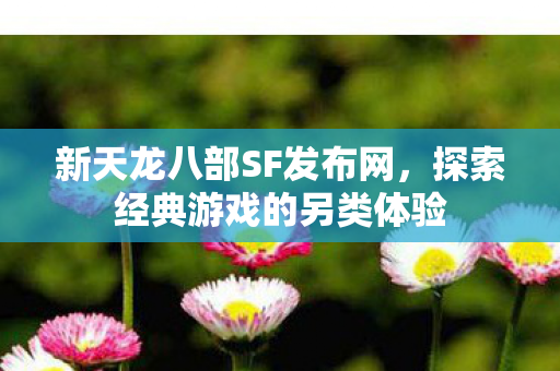 新天龙八部SF发布网，探索经典游戏的另类体验