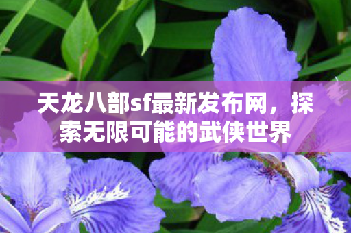 天龙八部sf最新发布网图片