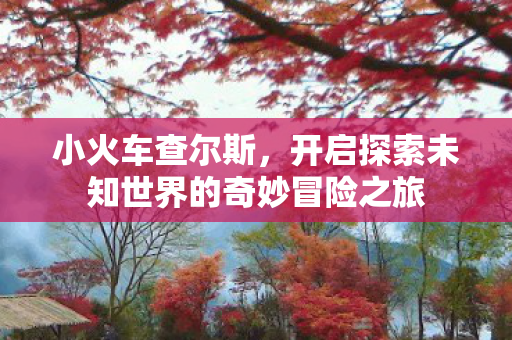 开启探索未知世界的奇妙冒险之旅图片