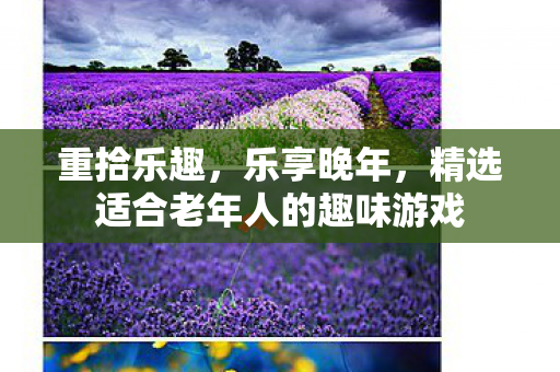 精选适合老年人的趣味游戏图片