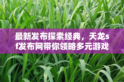 最新发布探索经典,天龙sf发布网带你领略多元游戏体验! 最新发布探索经典,天龙sf发布网带你领略多元游戏体验!