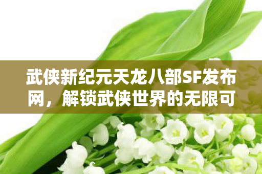 武侠新纪元天龙八部SF发布网图片