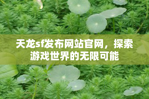 探索游戏世界的无限可能图片