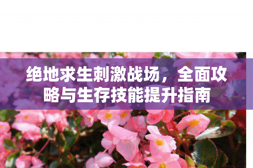 绝地求生刺激战场,全面攻略与生存技能提升指南 绝地求生刺激战场,全面攻略与生存技能提升指南