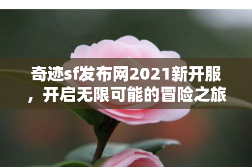奇迹sf发布网2021新开服,开启无限可能的冒险之旅 奇迹sf发布网2021新开服,开启无限可能的冒险之旅