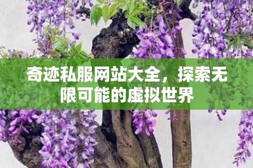 奇迹私服网站大全,探索无限可能的虚拟世界 奇迹私服网站大全,探索无限可能的虚拟世界