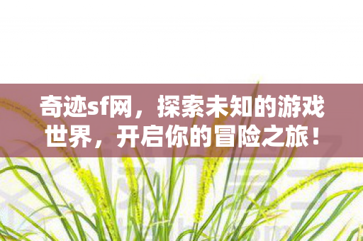 奇迹sf网,探索未知的游戏世界,开启你的冒险之旅! 奇迹sf网,探索未知的游戏世界,开启你的冒险之旅!