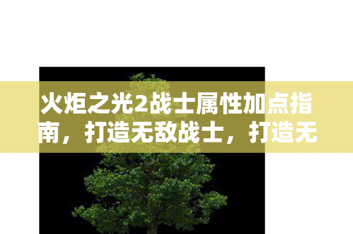 火炬之光2战士属性加点指南图片