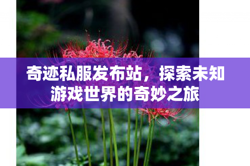 奇迹私服发布站,探索未知游戏世界的奇妙之旅 奇迹私服发布站,探索未知游戏世界的奇妙之旅