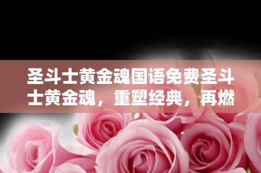 圣斗士黄金魂国语免费圣斗士黄金魂图片