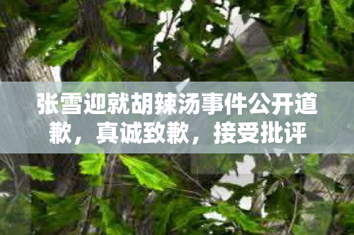 张雪迎就胡辣汤事件公开道歉,真诚致歉,接受批评 张雪迎就胡辣汤事件公开道歉,真诚致歉,接受批评