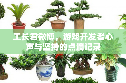 工长君微博，游戏开发者心声与坚持的点滴记录