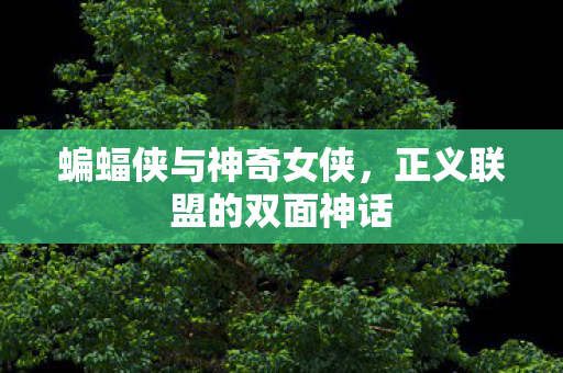蝙蝠侠与神奇女侠，正义联盟的双面神话