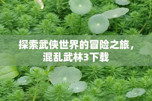 探索武侠世界的冒险之旅，混乱武林3下载