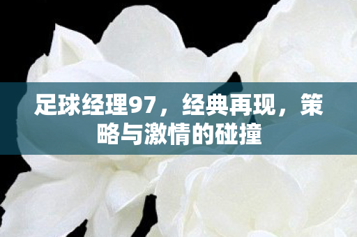 策略与激情的碰撞图片