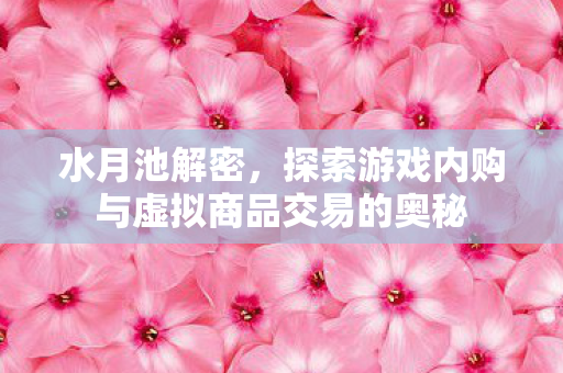 水月池解密,探索游戏内购与虚拟商品交易的奥秘 水月池解密,探索游戏内购与虚拟商品交易的奥秘
