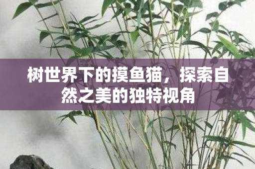 树世界下的摸鱼猫,探索自然之美的独特视角 树世界下的摸鱼猫,探索自然之美的独特视角