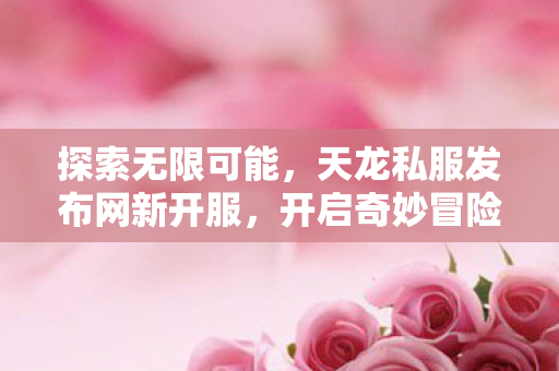 天龙私服发布网新开服图片