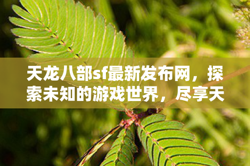 尽享天龙八部私服sf的乐趣图片