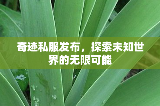 探索未知世界的无限可能图片
