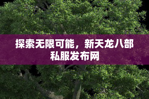 新天龙八部私服发布网图片