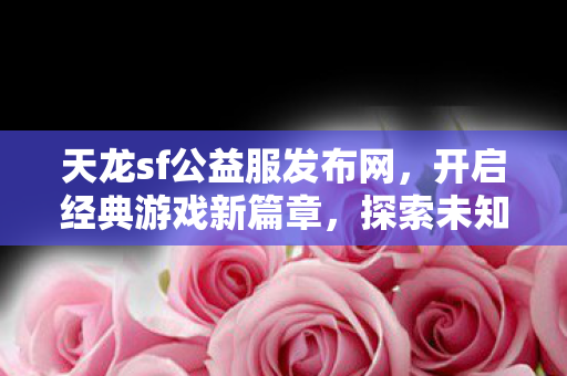 天龙sf公益服发布网图片