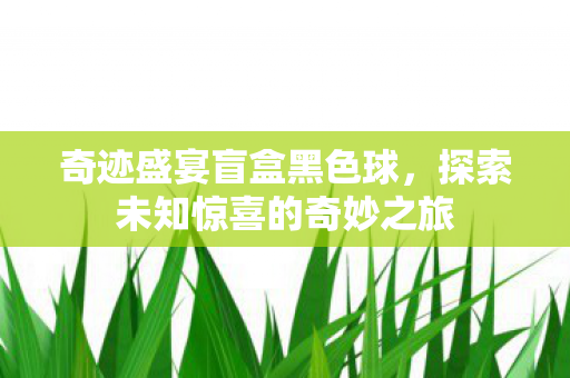 奇迹盛宴盲盒黑色球，探索未知惊喜的奇妙之旅