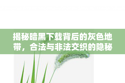 揭秘暗黑下载背后的灰色地带,合法与非法交织的隐秘世界 揭秘暗黑下载背后的灰色地带,合法与非法交织的隐秘世界